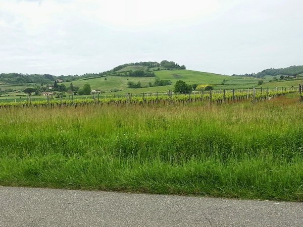 La marche fantastique toulousaine (19-24&nbsp;juillet)
