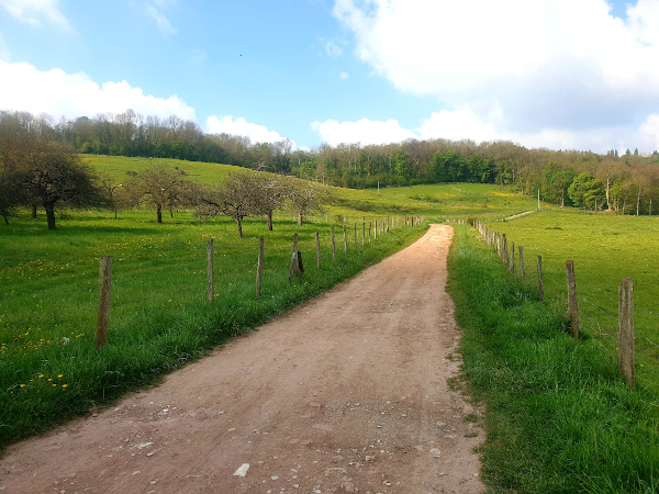 La marche fantastique en Seine-et-Marne (28-29&nbsp;août)