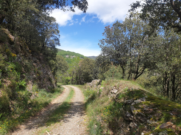 La marche fantastique dans les Cévennes (26-30&nbsp;juillet)