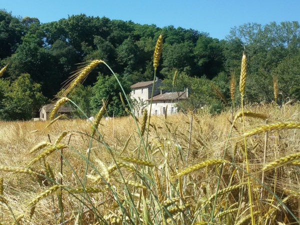 La marche fantastique en Saône-et-Loire (17-19&nbsp;juillet)