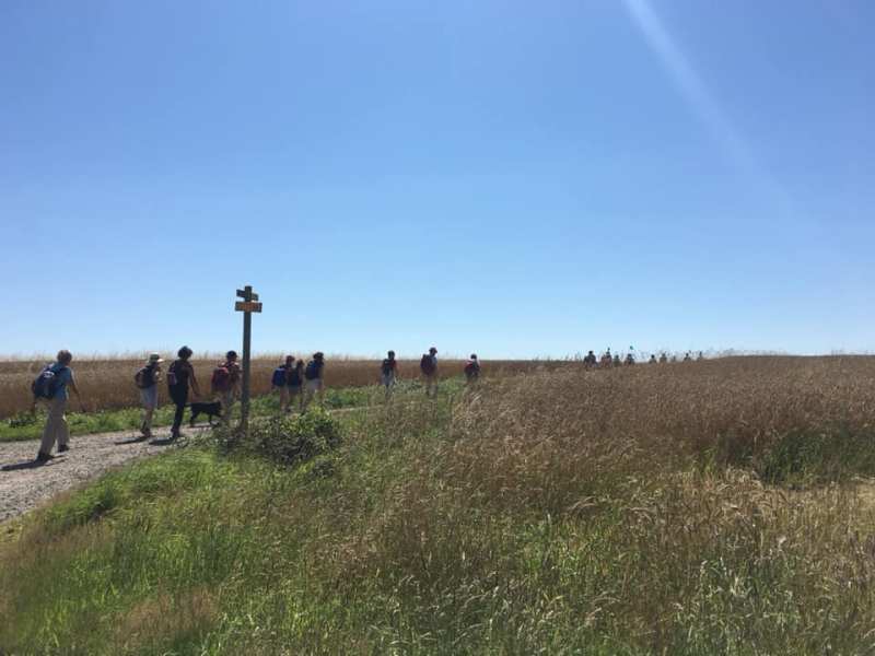 Bientôt des marches fantastiques&nbsp;!